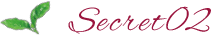 secret01