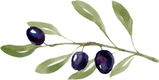 オリーブ